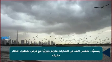 رسميًا.. طقس الغد في الإمارات غائم جزئيًا مع فرص لهطول أمطار خفيفة